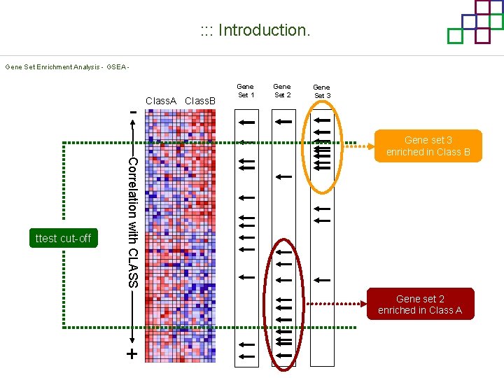 : : : Introduction. Gene Set Enrichment Analysis - GSEA - Correlation with CLASS