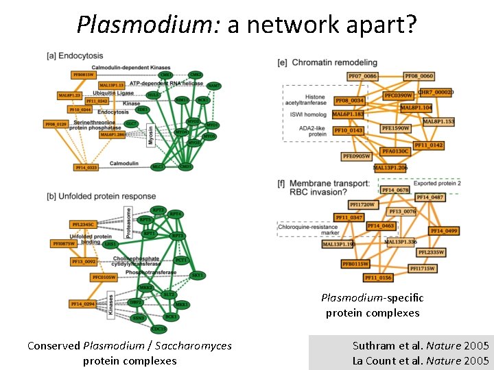 Plasmodium: a network apart? Plasmodium-specific protein complexes Conserved Plasmodium / Saccharomyces protein complexes Suthram