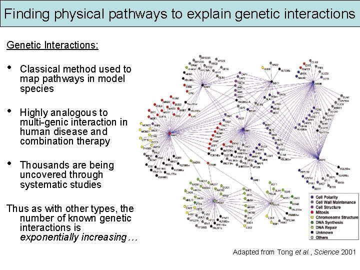 Finding physical pathways to explain genetic interactions Genetic Interactions: • Classical method used to