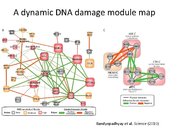 A dynamic DNA damage module map Bandyopadhyay et al. Science (2010) 
