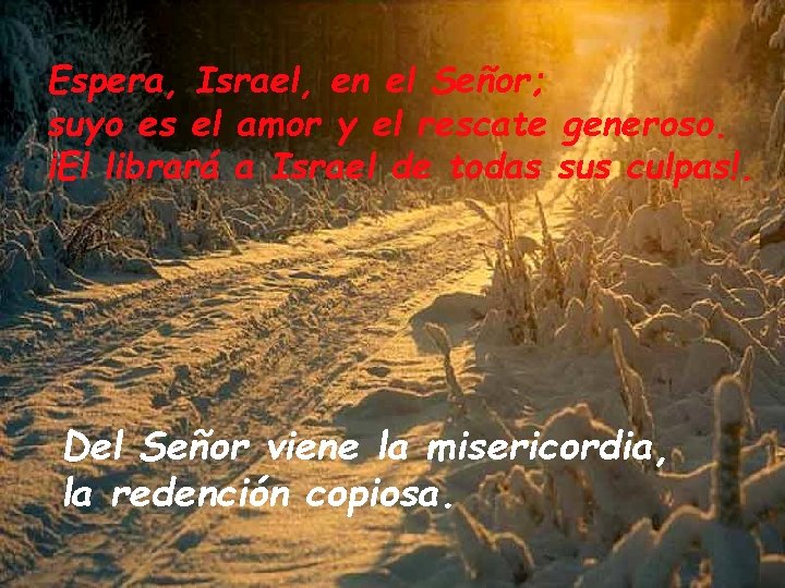 Espera, Israel, en el Señor; suyo es el amor y el rescate generoso. ¡El