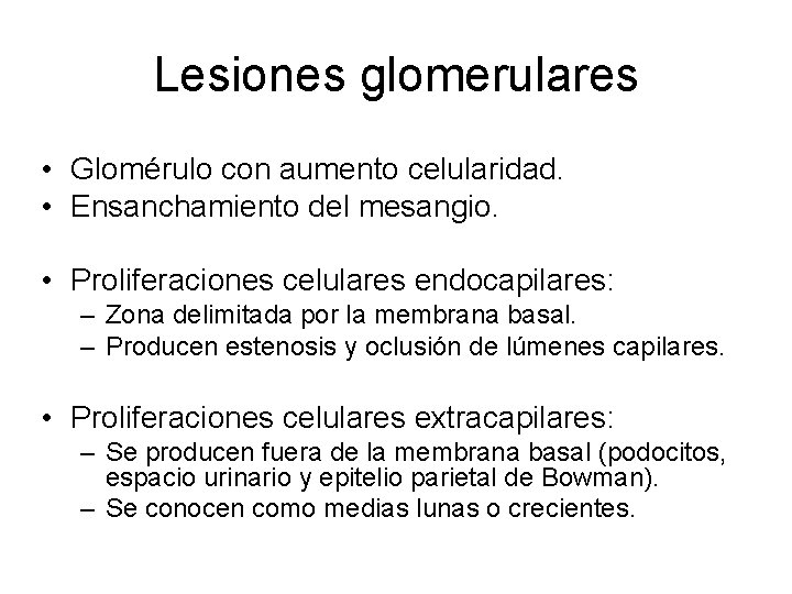 Lesiones glomerulares • Glomérulo con aumento celularidad. • Ensanchamiento del mesangio. • Proliferaciones celulares