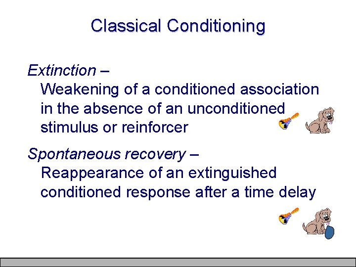 Classical Conditioning Extinction – Weakening of a conditioned association in the absence of an