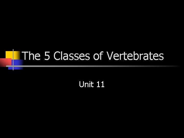 The 5 Classes of Vertebrates Unit 11 