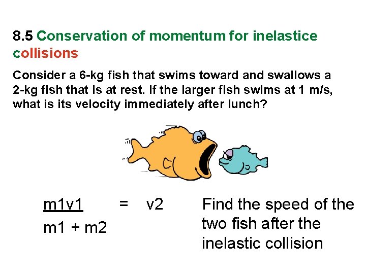 8. 5 Conservation of momentum for inelastice collisions Consider a 6 -kg fish that