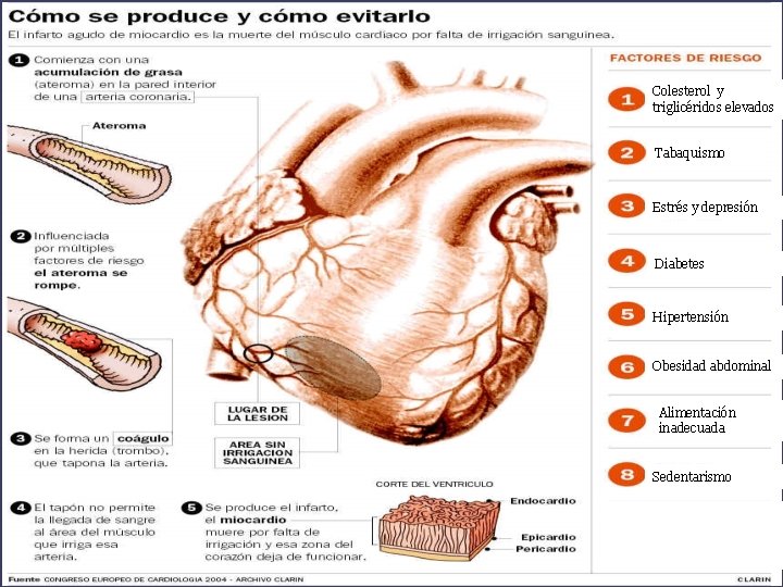 Colesterol y triglicéridos elevados Tabaquismo Estrés y depresión Diabetes Hipertensión Obesidad abdominal Alimentación inadecuada