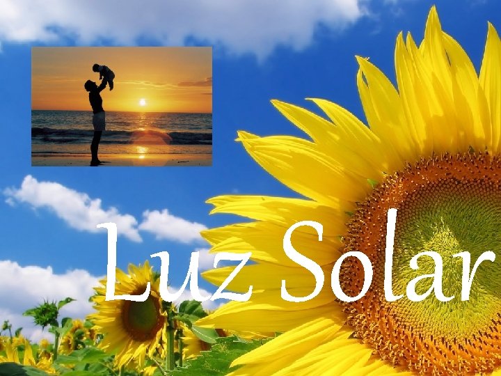 Luz Solar 