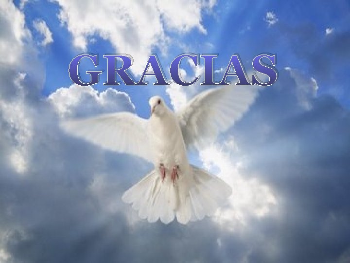 GRACIAS 