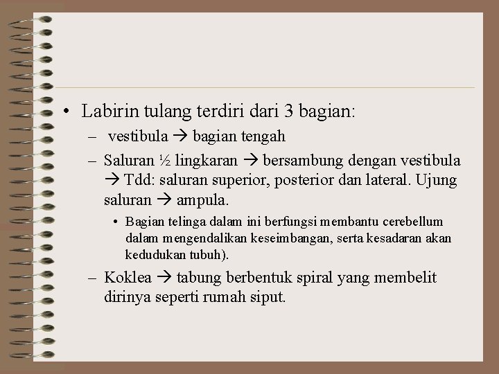  • Labirin tulang terdiri dari 3 bagian: – vestibula bagian tengah – Saluran