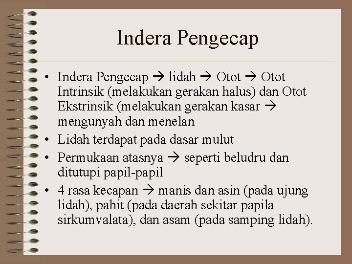 Indera Pengecap • Indera Pengecap lidah Otot Intrinsik (melakukan gerakan halus) dan Otot Ekstrinsik