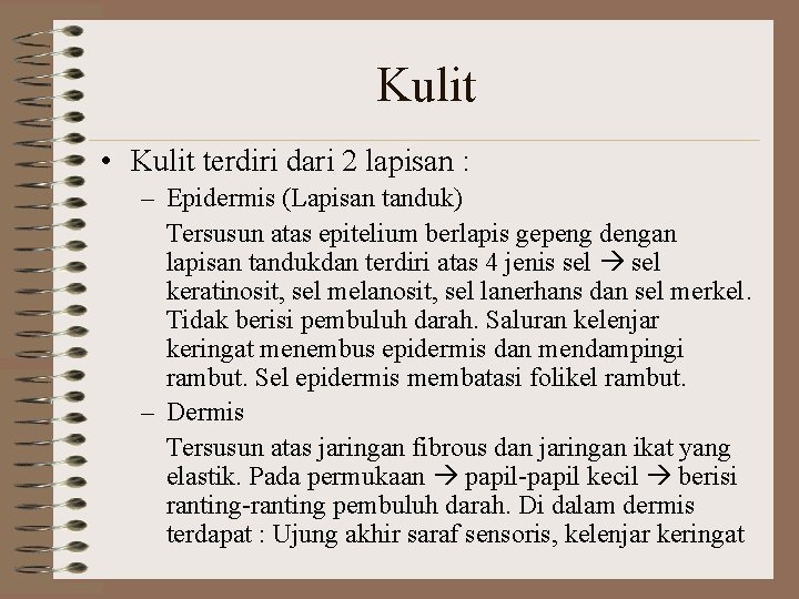 Kulit • Kulit terdiri dari 2 lapisan : – Epidermis (Lapisan tanduk) Tersusun atas