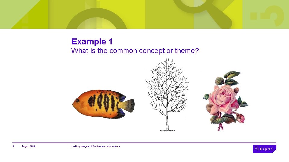 Example 1 What is the common concept or theme? 9 August 2019 Linking Images