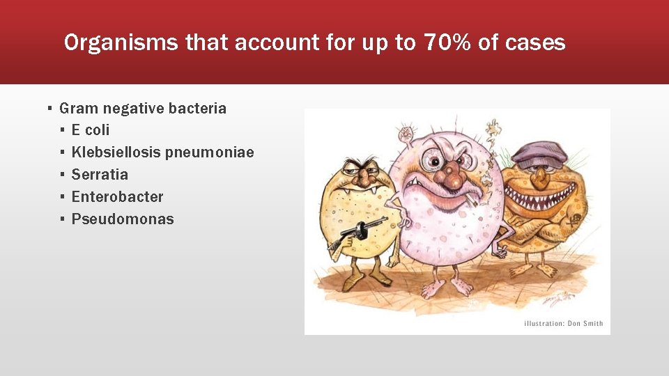 Organisms that account for up to 70% of cases ▪ Gram negative bacteria ▪ Organisms that account for up to 70% of cases ▪ Gram negative bacteria ▪