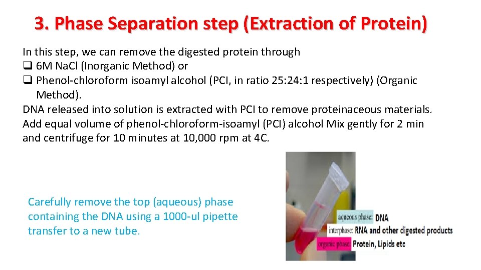 3. Phase Separation step (Extraction of Protein) In this step, we can remove the