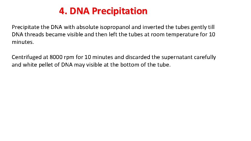 4. DNA Precipitation Precipitate the DNA with absolute isopropanol and inverted the tubes gently