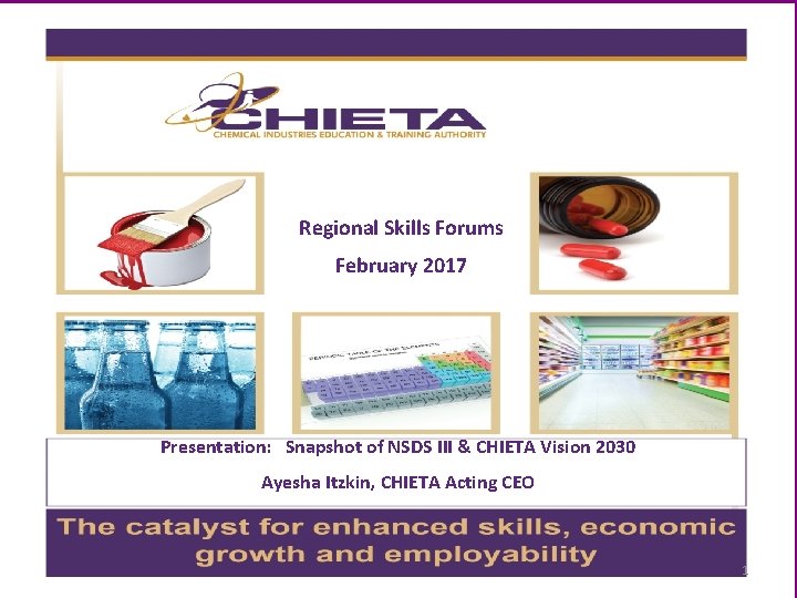 Regional Skills Forums February 2017 Presentation: Snapshot of NSDS III & CHIETA Vision 2030