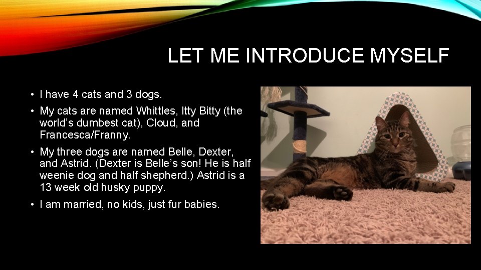 LET ME INTRODUCE MYSELF • I have 4 cats and 3 dogs. • My LET ME INTRODUCE MYSELF • I have 4 cats and 3 dogs. • My