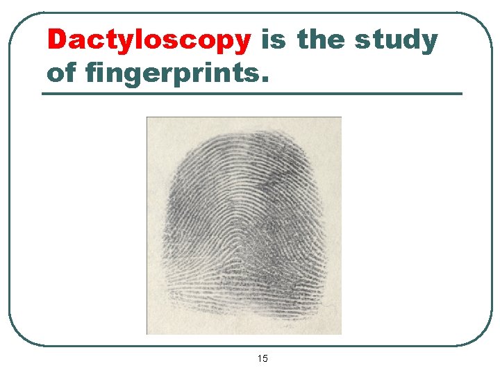 Dactyloscopy is the study of fingerprints. 15 