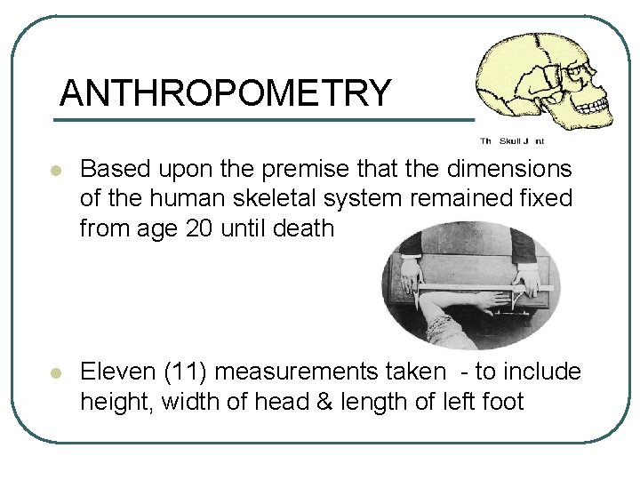 ANTHROPOMETRY l Based upon the premise that the dimensions of the human skeletal system