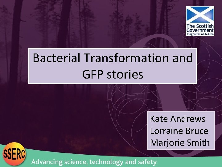 Bacterial Transformation and GFP stories Kate Andrews Lorraine Bruce Marjorie Smith 