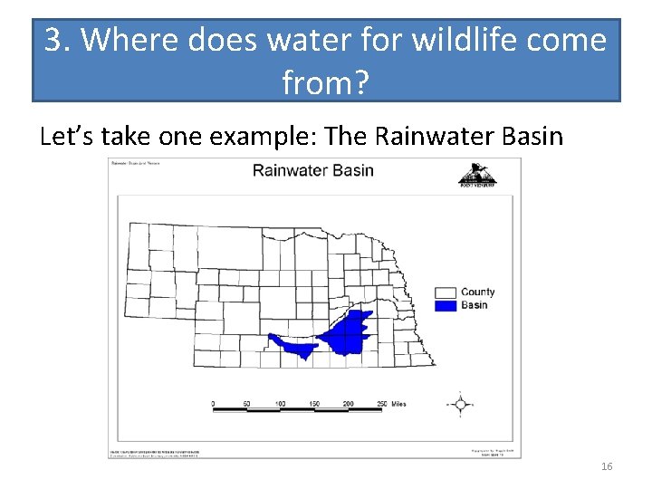 3. Where does water for wildlife come from? Let’s take one example: The Rainwater