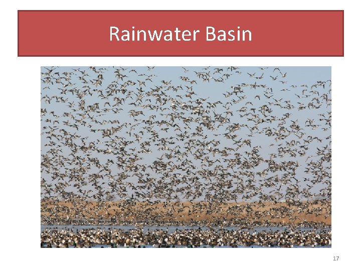 Rainwater Basin 17 