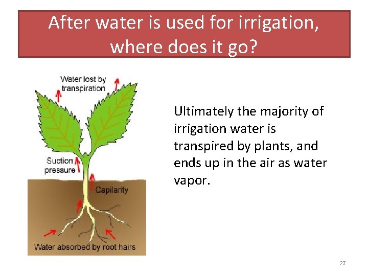 After water is used for irrigation, where does it go? Ultimately the majority of