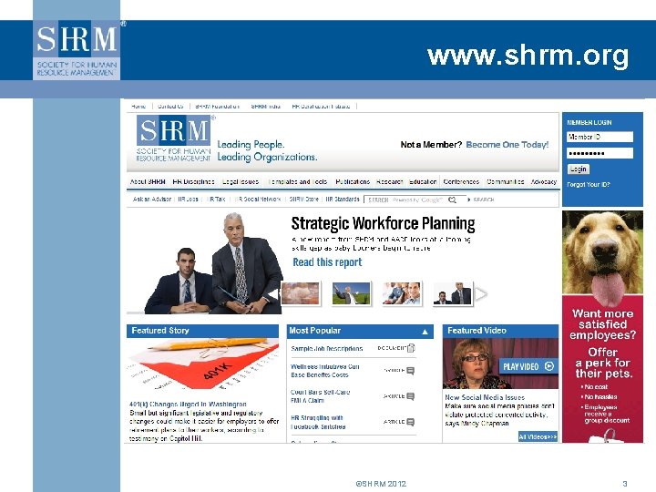 www. shrm. org ©SHRM 2012 3 www. shrm. org ©SHRM 2012 3
