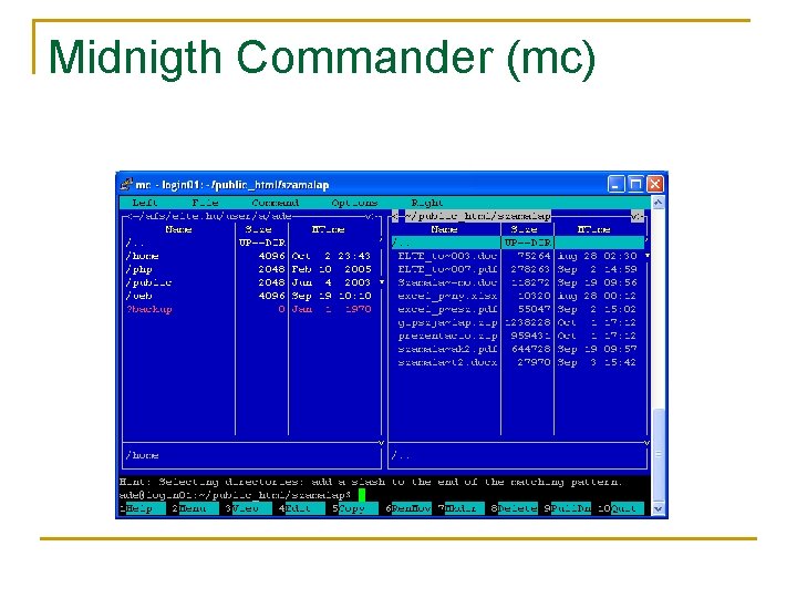 Midnigth Commander (mc) 
