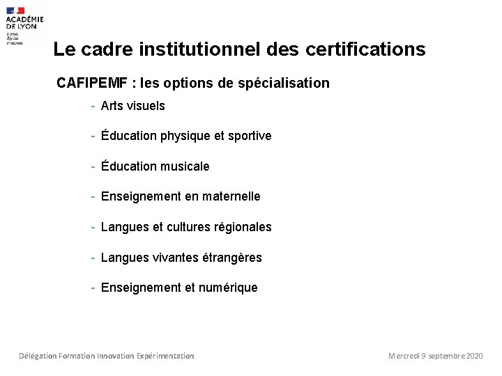 Le cadre institutionnel des certifications CAFIPEMF : les options de spécialisation - Arts visuels