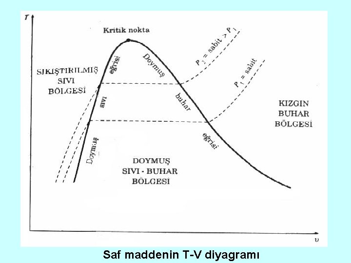 Saf maddenin T-V diyagramı 