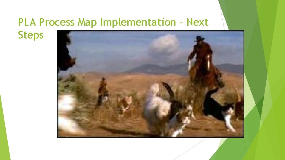 PLA Process Map Implementation – Next Steps 