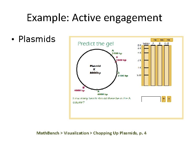 Example: Active engagement • Plasmids Math. Bench > Visualization > Chopping Up Plasmids, p.