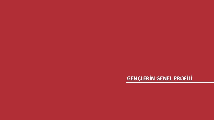 GENÇLİK ARAŞTIRMASI GENÇLERİN GENEL PROFİLİ 13 