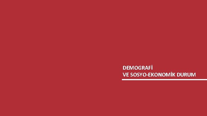 GENÇLİK ARAŞTIRMASI DEMOGRAFİ VE SOSYO-EKONOMİK DURUM 6 