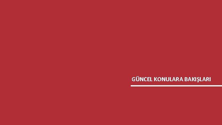 GENÇLİK ARAŞTIRMASI 61 GÜNCEL KONULARA BAKIŞLARI 