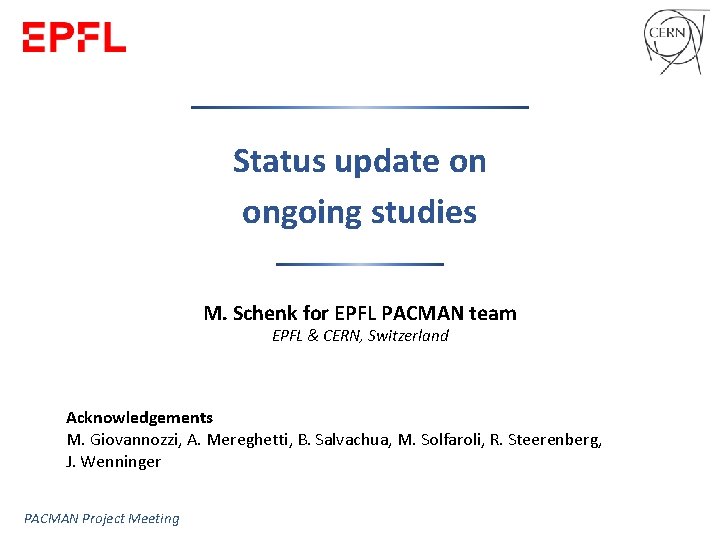 Status update on ongoing studies M. Schenk for EPFL PACMAN team EPFL & CERN,