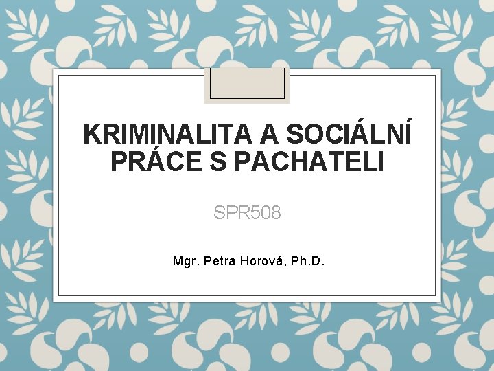 KRIMINALITA A SOCIÁLNÍ PRÁCE S PACHATELI SPR 508 Mgr. Petra Horová, Ph. D. 