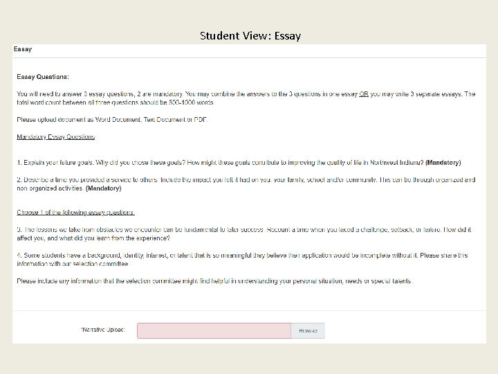 Student View: Essay 