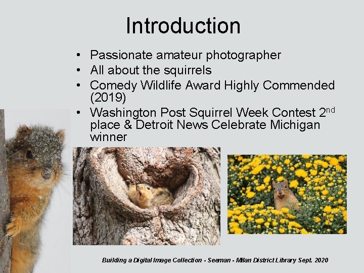 Introduction • Passionate amateur photographer • All about the squirrels • Comedy Wildlife Award