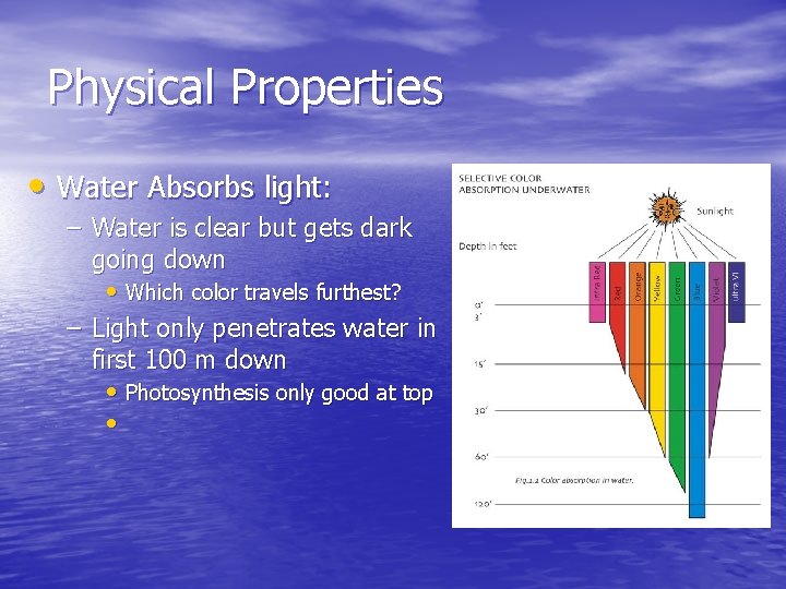 Physical Properties • Water Absorbs light: – Water is clear but gets dark going