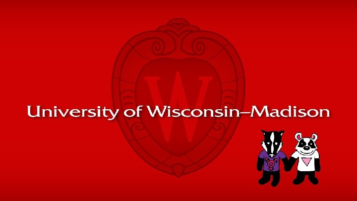 UNIVERSITY OF WISCONSIN-MADISON 