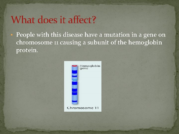 What does it affect? • People with this disease have a mutation in a