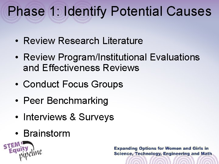 Phase 1: Identify Potential Causes • Review Research Literature • Review Program/Institutional Evaluations and