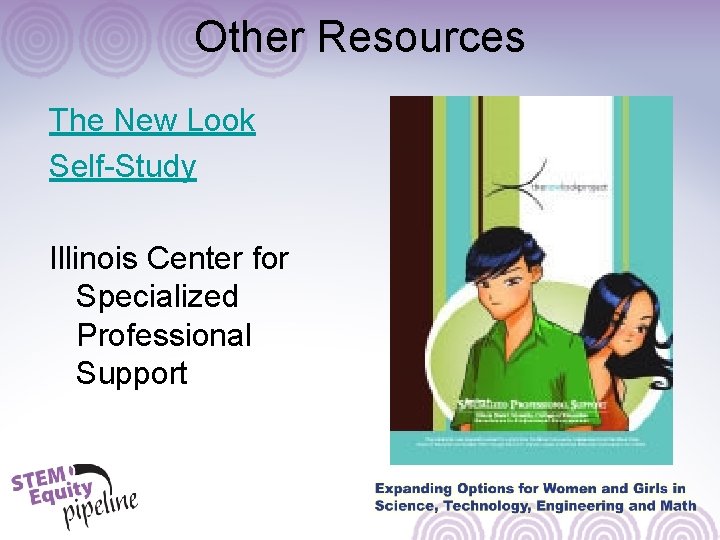 Other Resources The New Look Self-Study Illinois Center for Specialized Professional Support 