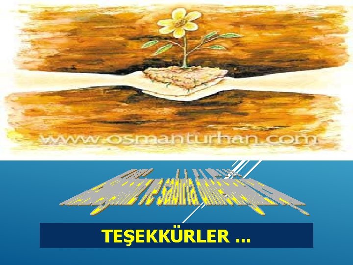 TEŞEKKÜRLER. . . 