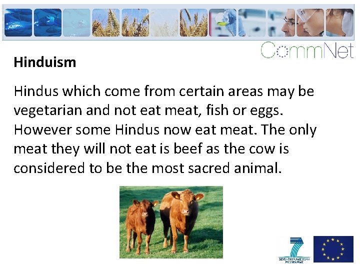 Hinduism Hindus which come from certain areas may be vegetarian and not eat meat,