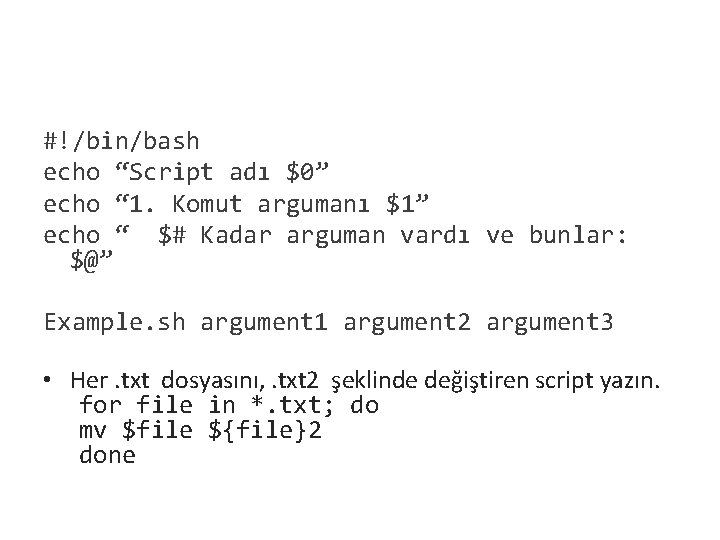 #!/bin/bash echo “Script adı $0” echo “ 1. Komut argumanı $1” echo “ $#