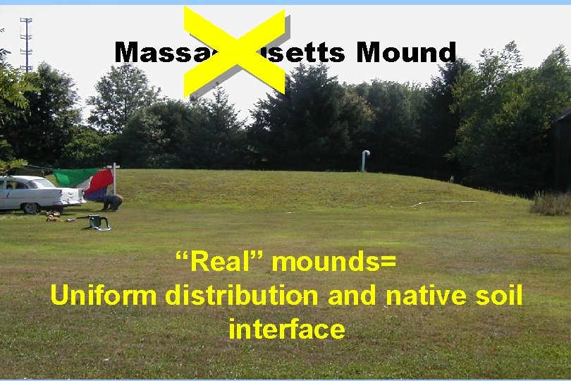 X Massachusetts Mound “Real” mounds= Uniform distribution and native soil interface 