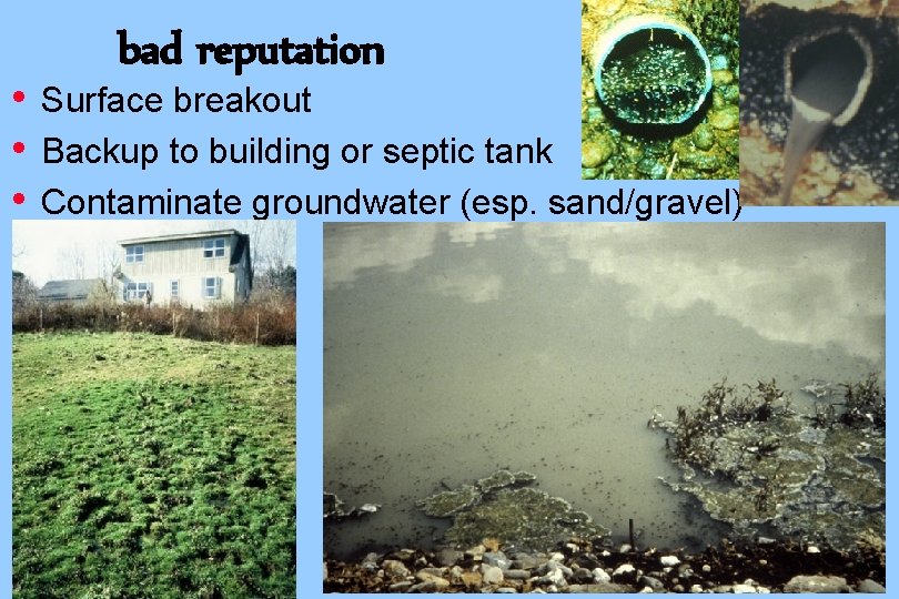  • • • bad reputation Surface breakout Backup to building or septic tank